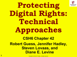 Protecting Digital Rights: Technical Approaches