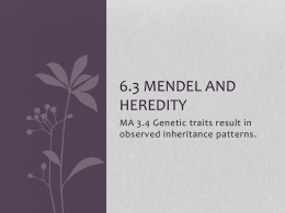6.3 Mendel and heredity