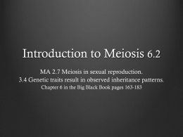 6.2 Meiosis Intro Wrap Up