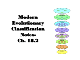 Modern Evolutionary Classification