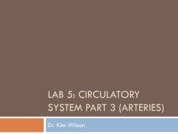 Lab 5: Circulatory System Part 3 (Arteries)