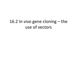 16.2 In vivo gene cloning – the use of vectors