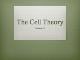 The Cell Theory - St. Paul School