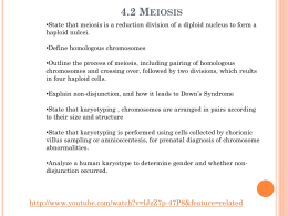 4.2 Meiosis - HS Biology IB
