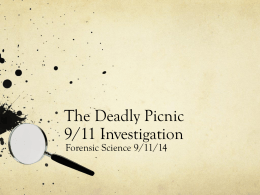 The Deadly Picnic 9/11 Investigation