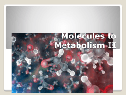 Molecules to Metabolism II