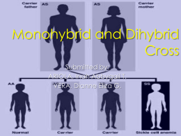 Monohybrid and Dihybrid Cross - The Only Way is Geek