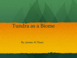 Tundra as a Biome - 19-034