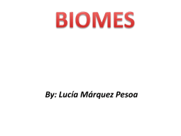 Biomes - Y9-Environmental-Management-SG
