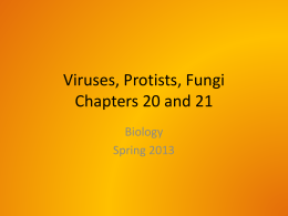 Viruses, Protists, Fungi Chapters 20 and 21