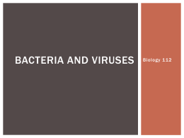 bacteria_and_viruses