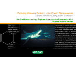 Explore Molecular Evolution Using Protein Electrophoresis - Bio-Rad