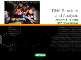 Activity 4.5: Forensic DNA Fingerprinting