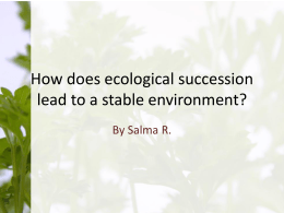 How does ecological succession lead to a stable