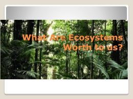What Are Ecosystems Worth to us?