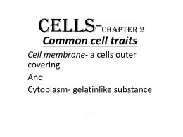 CELLS-Chapter 2