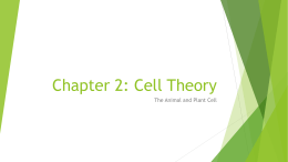 Chapter 2.Cell Theory. The Cell