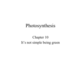 Photosynthesis - Montgomery College