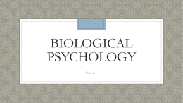 Biological Psychology - Ms. Anderson