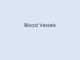 Circulation: Blood Vessels