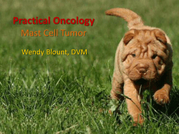 Mast Cell Tumor - WendyBlount.com