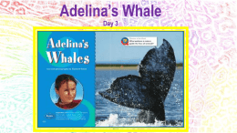 Adalina*s Whale Day 3 - Pendleton County Schools