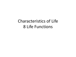 Characteristics of Life 8 Life Functions