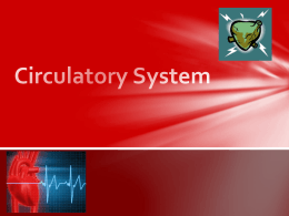 Circulatory System_Modified for website
