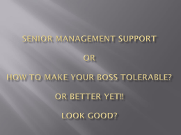 Senior Management Support or How to make your boss tolerable