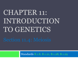CHAPTER 11: Introduction to genetics Section 11.4: Meiosis