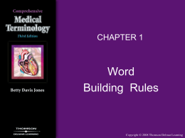 chapter 01 word building rules