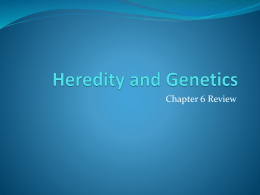 Heredity and Genetics