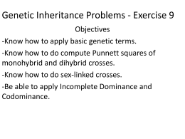 Genetic Inheritance Problems