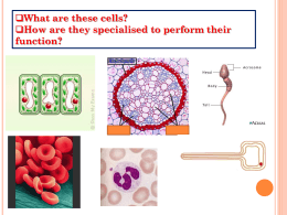 Cell Specialisation - TavistockCollegeScience