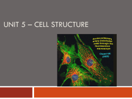 Unit 5 * Cell Structure