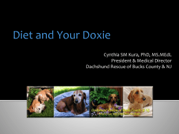 Diet and Your Doxie - Dachshund Rescue of Bucks County