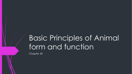 Basic Principles of Animal form and function