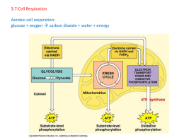 3.7:Cell Respiration Aerobic cell respiration