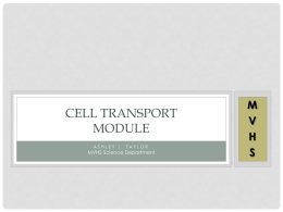 Cell Transport Module