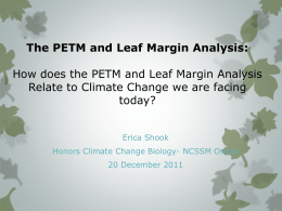 The PETM and Leaf Margin Analysis