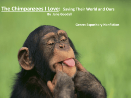 Chimpanzees I Love, Jane Goodall powerpoint.ppt