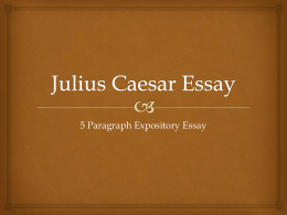 Julius Caesar Essay
