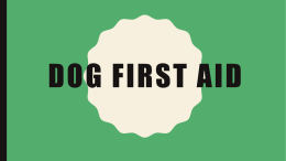 DOG FIRST AID