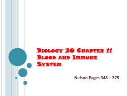 Chapter 11 Blood and Immune System notes