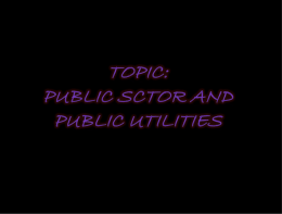 Public Sector and public Utilities