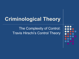Control Theory Hirschi