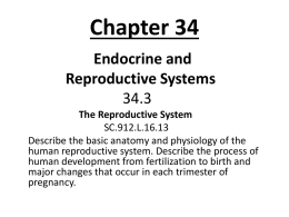 Chapter 34 - Biology EOC Review Resources