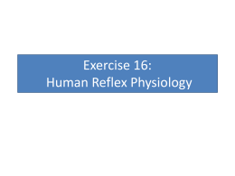 Exercise 16: Human Reflex Physiology
