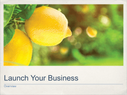 Launch Your Business Overview