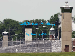 Cell/Prison Analogy - NylandBiology2012-2013